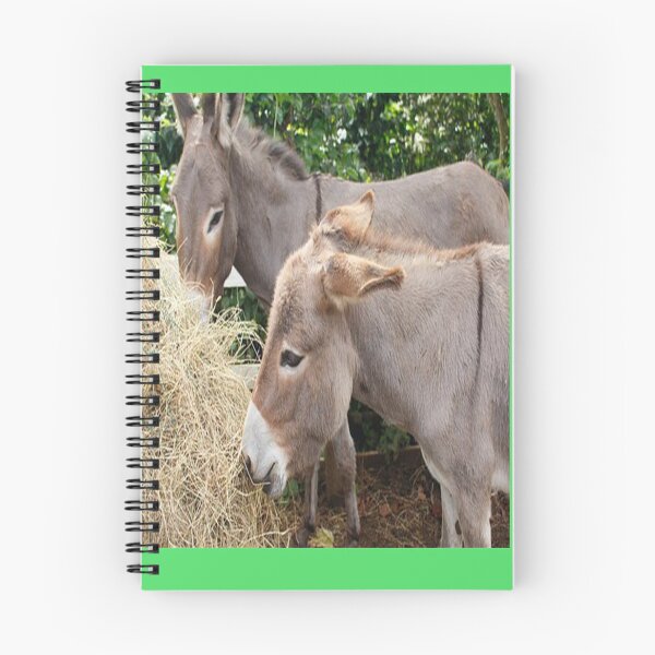 Item preview, DONKEYS designed and sold by solgel47.