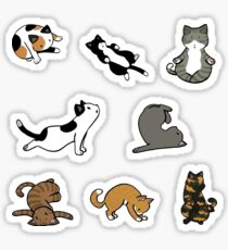 Cat Pack Sticker