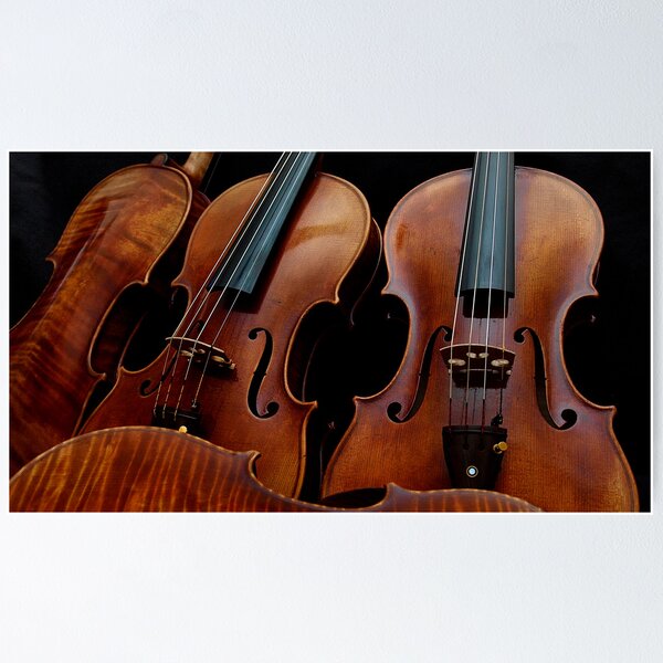 Item preview, Modern Violin Collection - Stradivarius & friends designed and sold by Nick Bland.