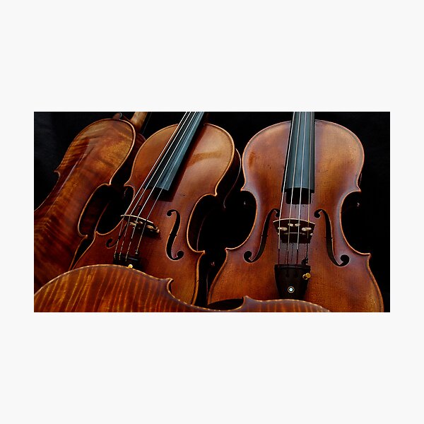 Item preview, Modern Violin Collection - Stradivarius & friends designed and sold by Nick Bland.