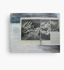Glaciers Metal Print