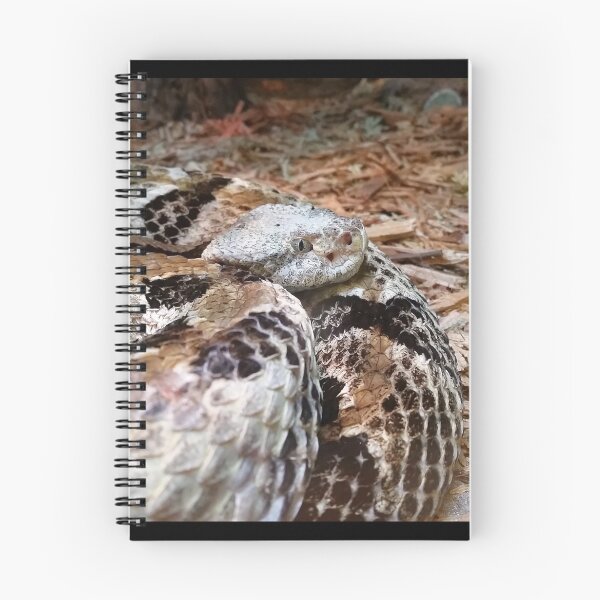 Item preview, Timber Rattlesnake designed and sold by truekaia.