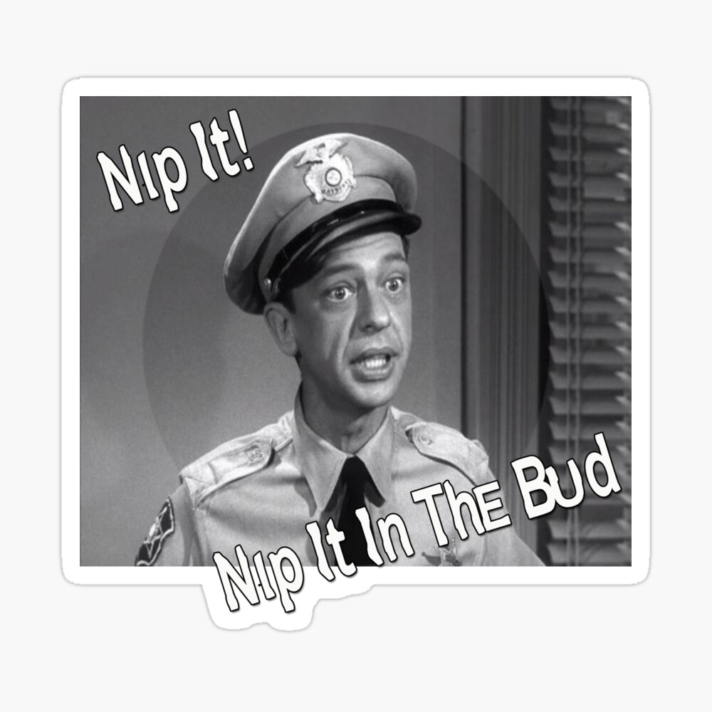 Barney Fife, Nip It | Canvas Print