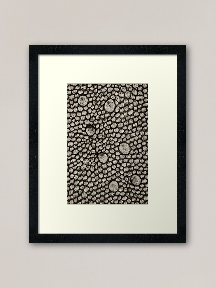 Alternate view of Gecko Skin Framed Art Print