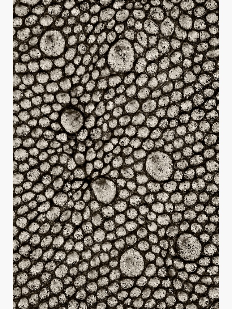 Gecko Skin by fardad
