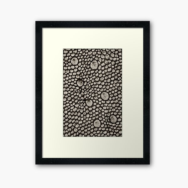 Gecko Skin Framed Art Print