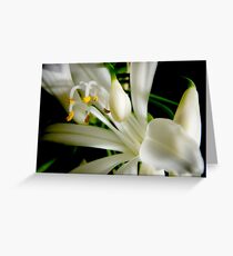 damaged Greeting Card