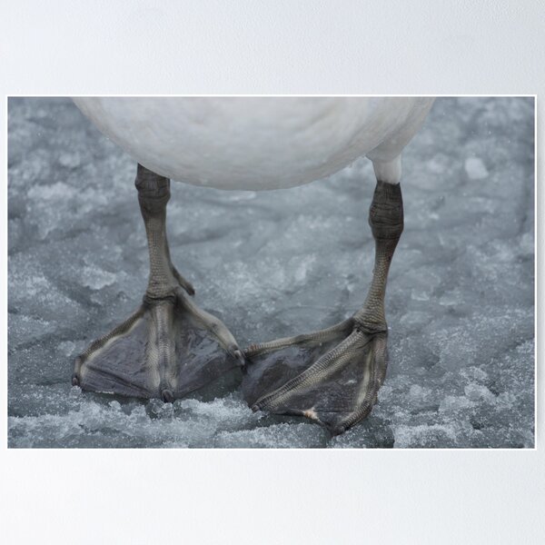 Item preview, (un)happy feet designed and sold by k9kirsty.