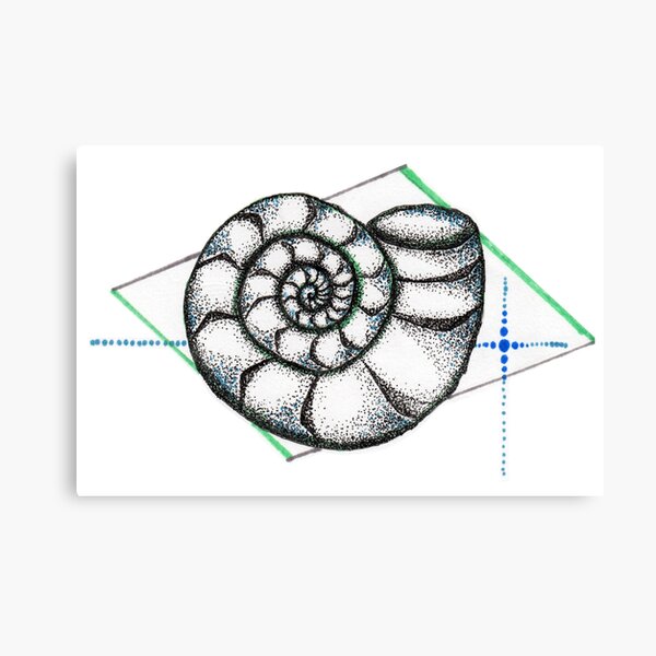 Lienzos Fibonacci Spiral Redbubble