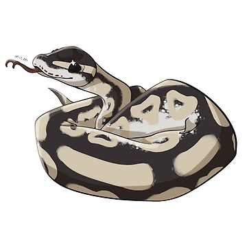 Artwork thumbnail, Ball Python by Sumire76