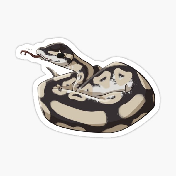 Ball Python Sticker
