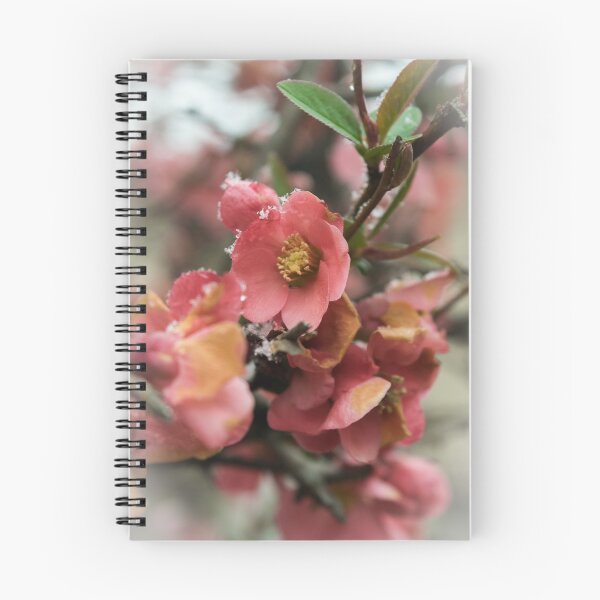 Item preview, Snow on the pear blossoms designed and sold by Lowtech.