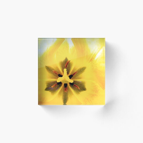 Item preview, Pistil, Stamen, and Petals designed and sold by BlunderBusster.
