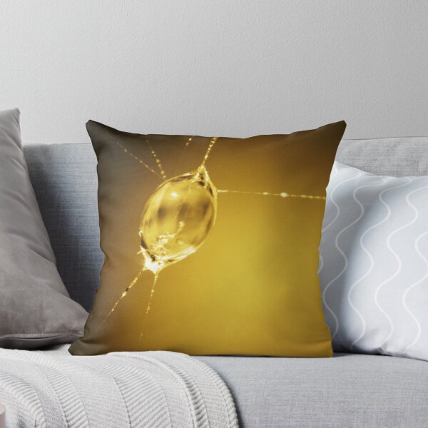 Item preview, Water Drop in a Spider's Web designed and sold by BlunderBusster.