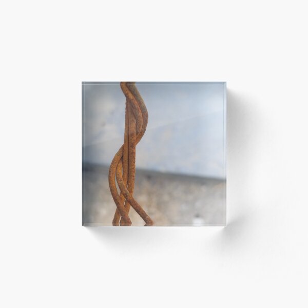 Embrace: Entwined Rusty Wires Acrylic Block
