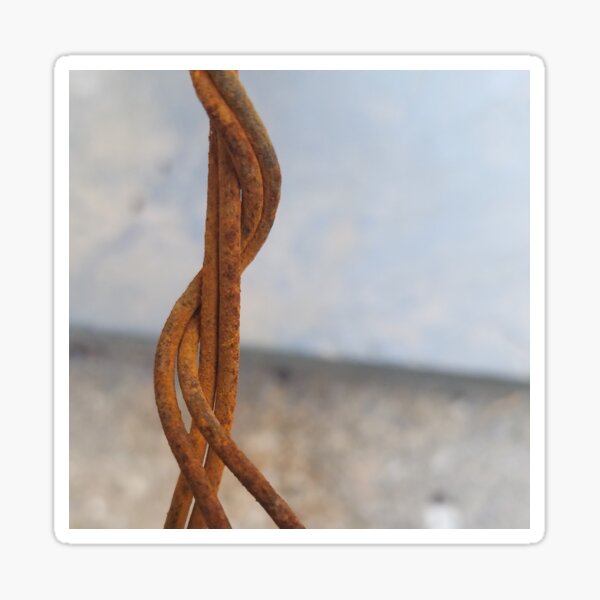 Embrace: Entwined Rusty Wires Sticker