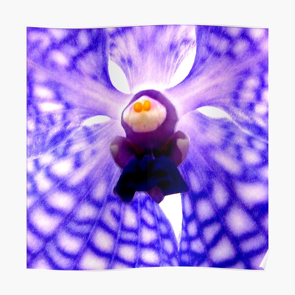 The Landing - A New Perspective on Orchid Life Poster