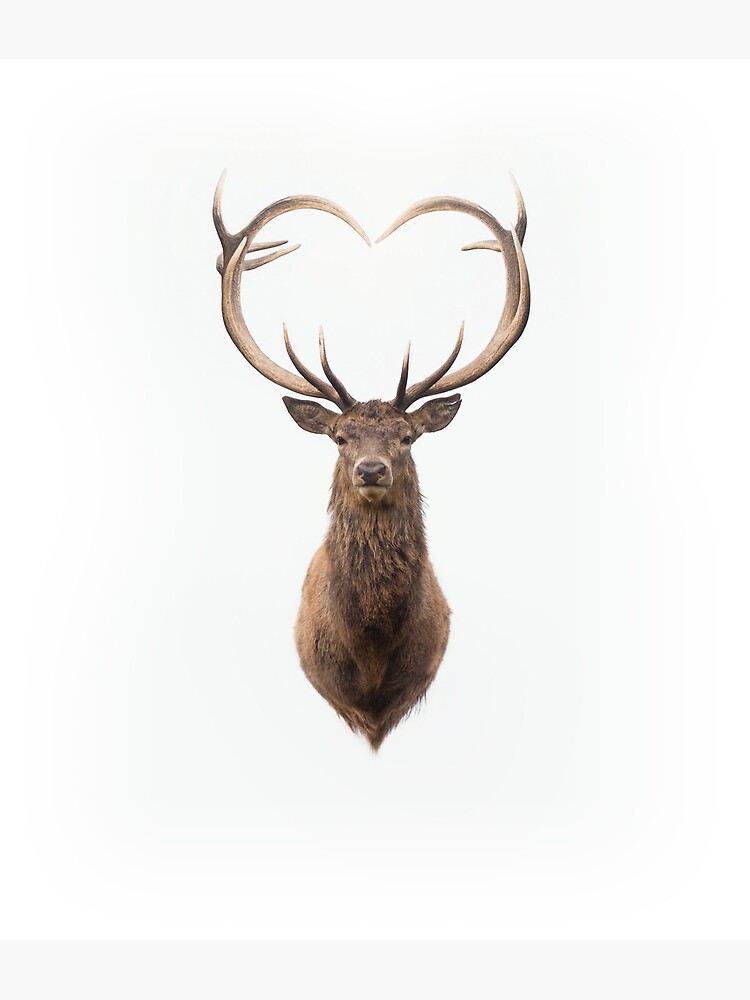 Deer with Heart Antlers