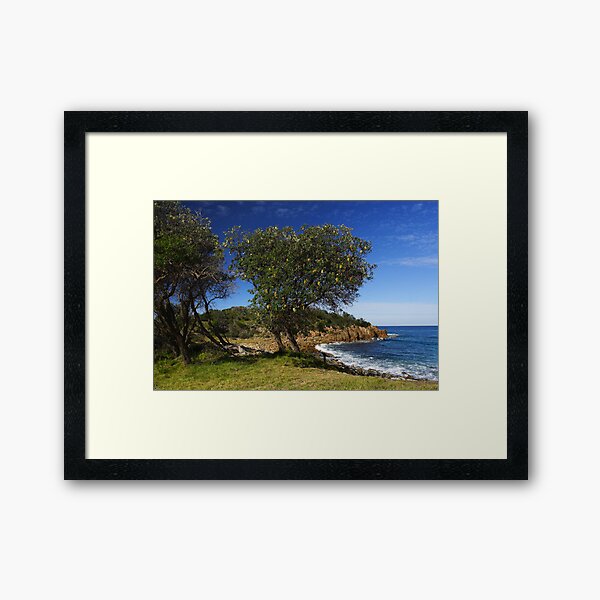 Item preview, Mimosa Rocks National Park designed and sold by Darren Stones.