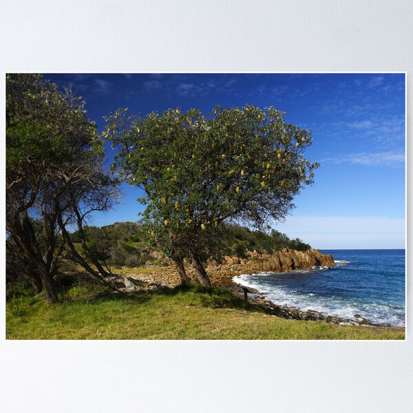Item preview, Mimosa Rocks National Park designed and sold by Darren Stones.