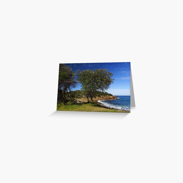 Item preview, Mimosa Rocks National Park designed and sold by Darren Stones.