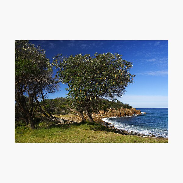 Item preview, Mimosa Rocks National Park designed and sold by Darren Stones.