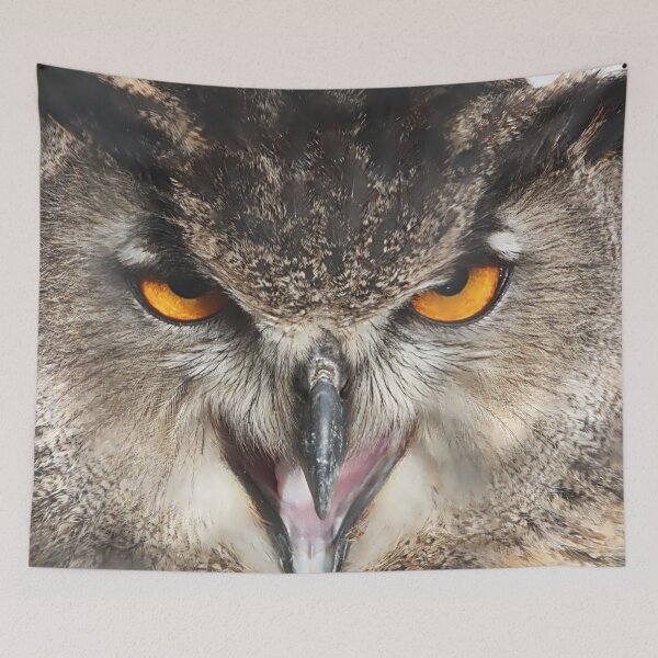 Item preview, Long Ear Owl designed and sold by carrizizi.
