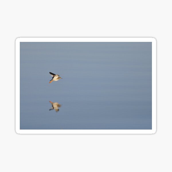 Aperçu de l'œuvre Redshank créée et vendue par HoundieLover.