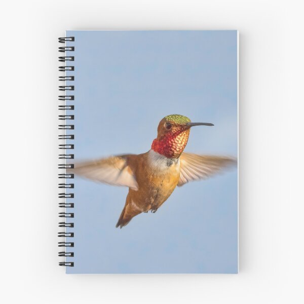 Item preview, Early Morning Visitor designed and sold by MCHerdering Photography.