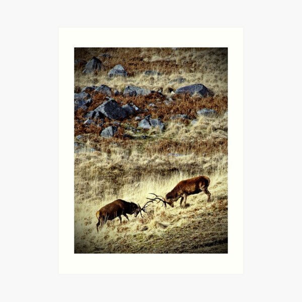 Art Print