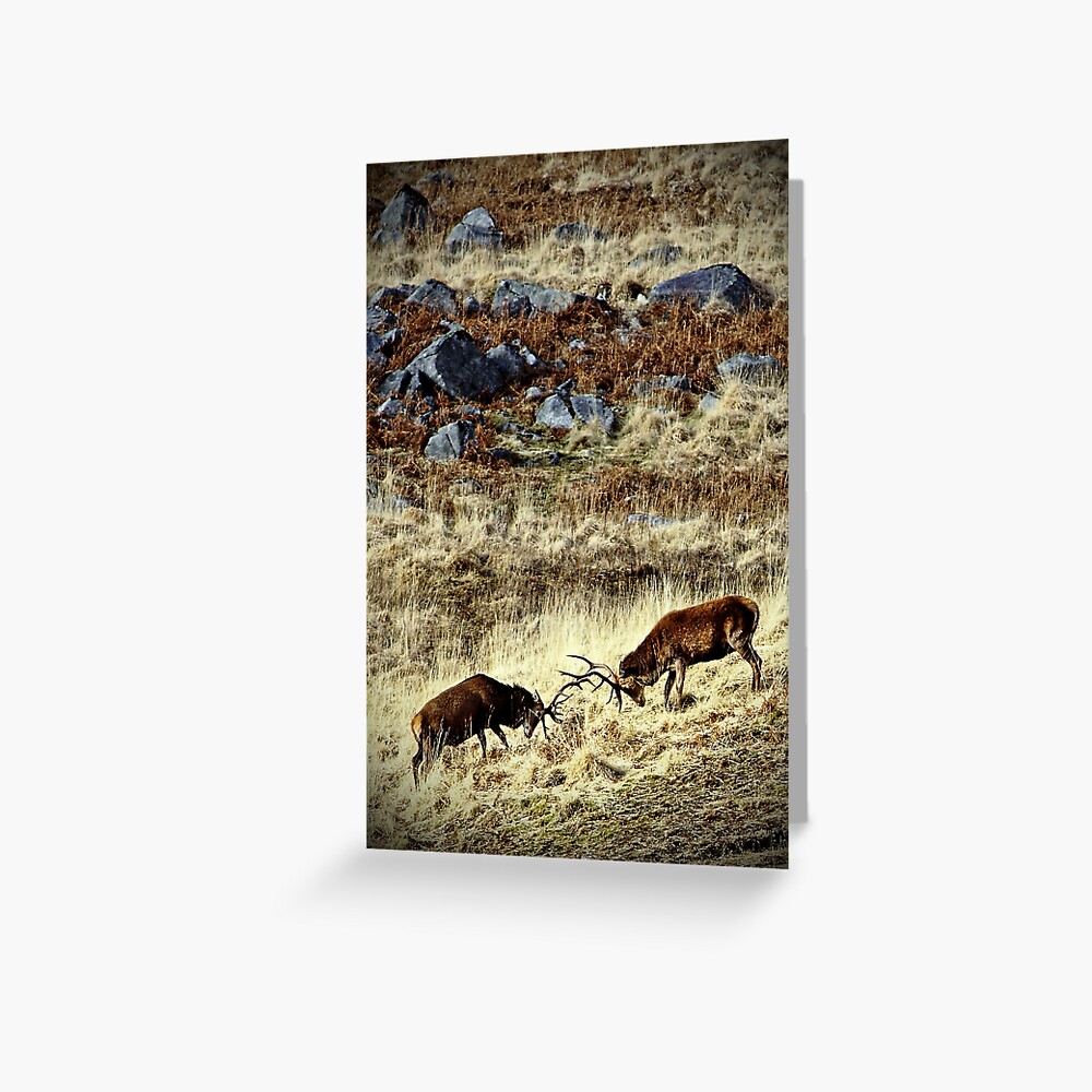 Item preview, Greeting Card designed and sold by Coigach.
