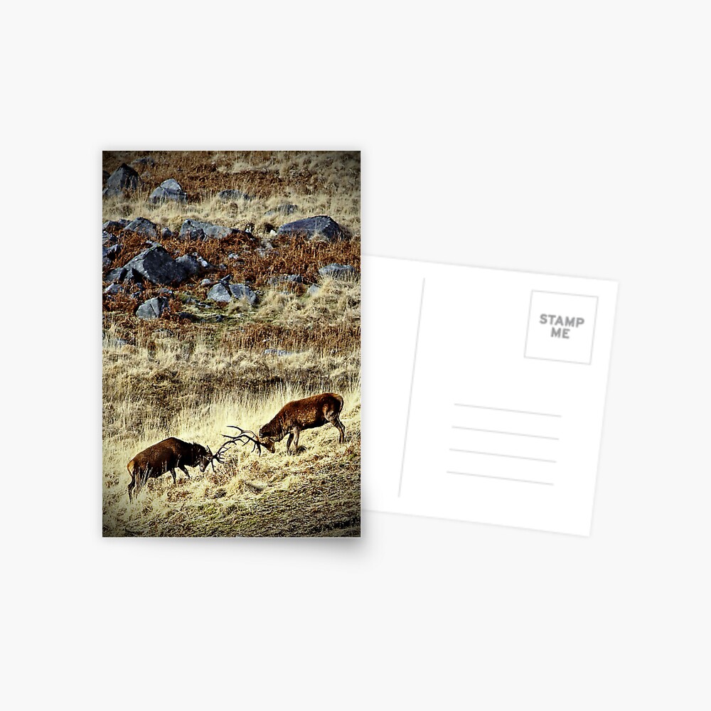 Item preview, Postcard designed and sold by Coigach.