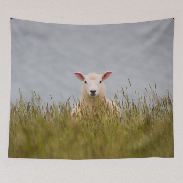 Item preview, Cheeky NZ Sheep designed and sold by Kim Deans.