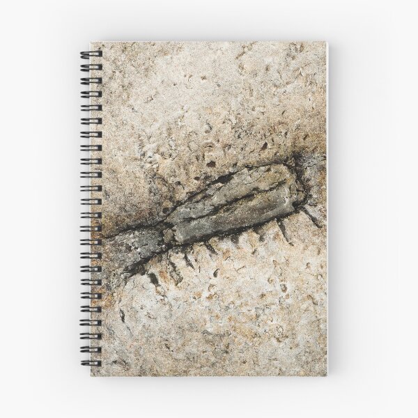 Item preview, Fossil designed and sold by ChrisHH.