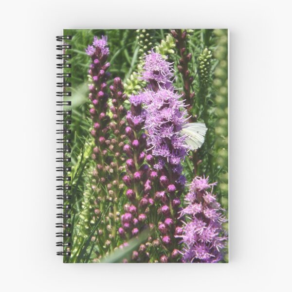Item preview, Summer Flowers, High Line, New York City's Elevated Garden and Park designed and sold by lenspiro.