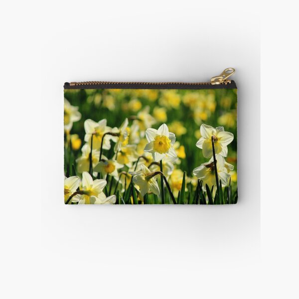 Artikelvorschau, Daffodils entworfen und verkauft von ChocChipCookie.