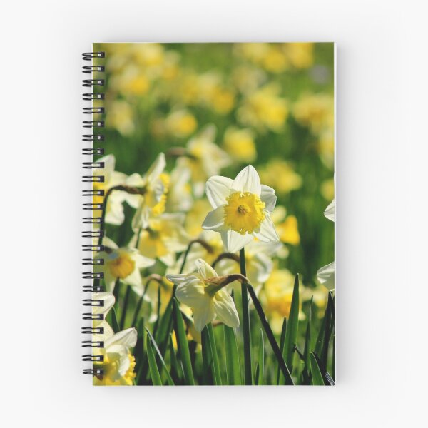 Item preview, Daffodils designed and sold by ChocChipCookie.