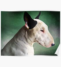 Bull Terrier on Green Poster