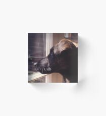 Kippa The Dog Acrylic Block