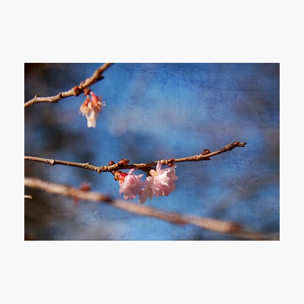 Artikelvorschau, Spring is in the air entworfen und verkauft von dave2k11.
