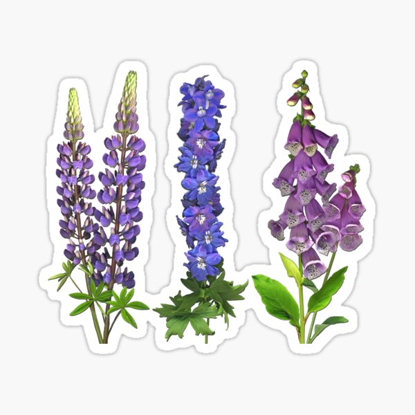 Purple June Garden Sticker