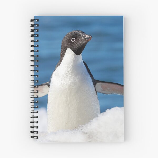 Item preview, Adelie Penguin, Antarctica designed and sold by cjdolfin.