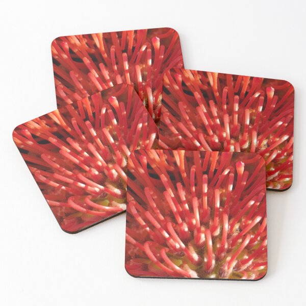 Item preview, Pincushion Protea Red designed and sold by ellenhenry.