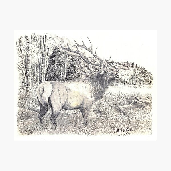 The Hunt Photographic Print