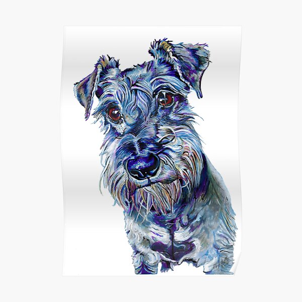 Scooby Schnauzer Poster