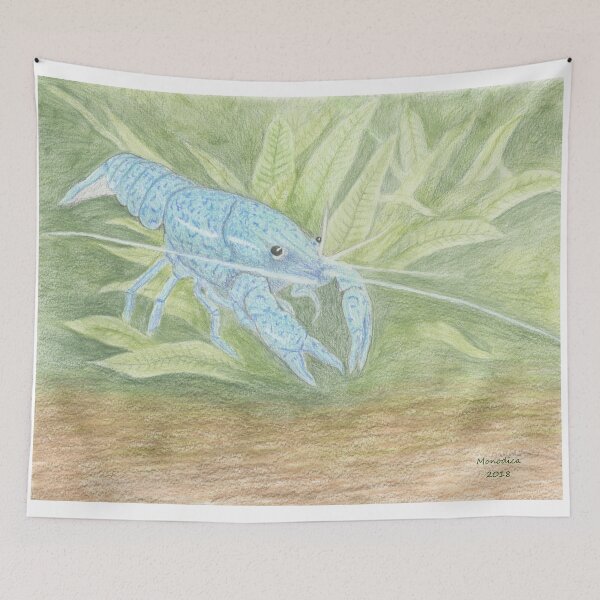 Item preview, Electric Blue Crayfish designed and sold by Monodicadesigns.