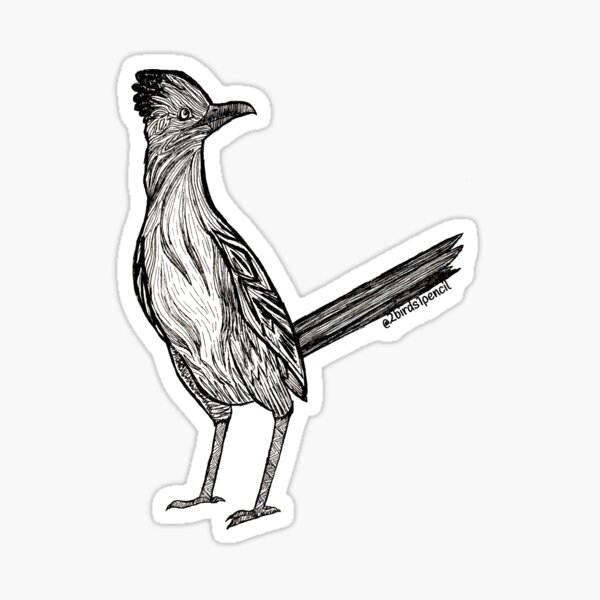 Roadrunner Sticker