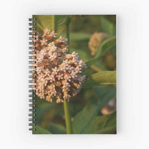 Item preview, Milk Weed flowers  designed and sold by Jeff stroud.