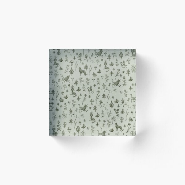 Medieval Dingus Party! Acrylic Block