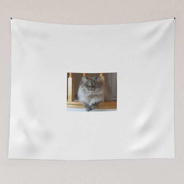 Item preview, Himalayan Cat designed and sold by Pam069.